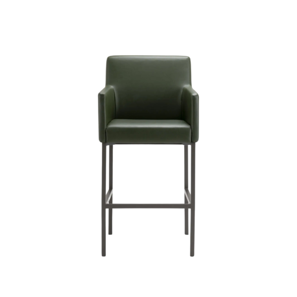 The Anne II Bar Stool